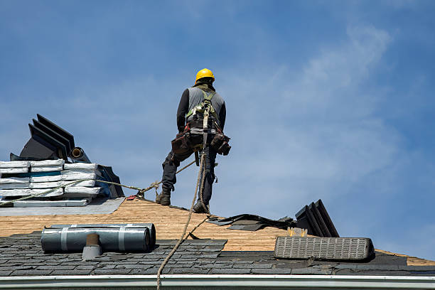 Professional Roof Replacement technician working in Holley, NY